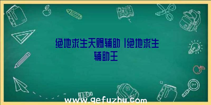 「绝地求生天赐辅助」|绝地求生辅助王